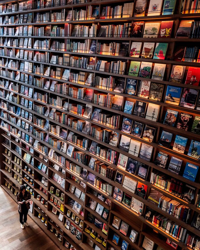 Wall filled with stunning bookshelves and a person browsing in one of the most impressive bookstores and libraries.