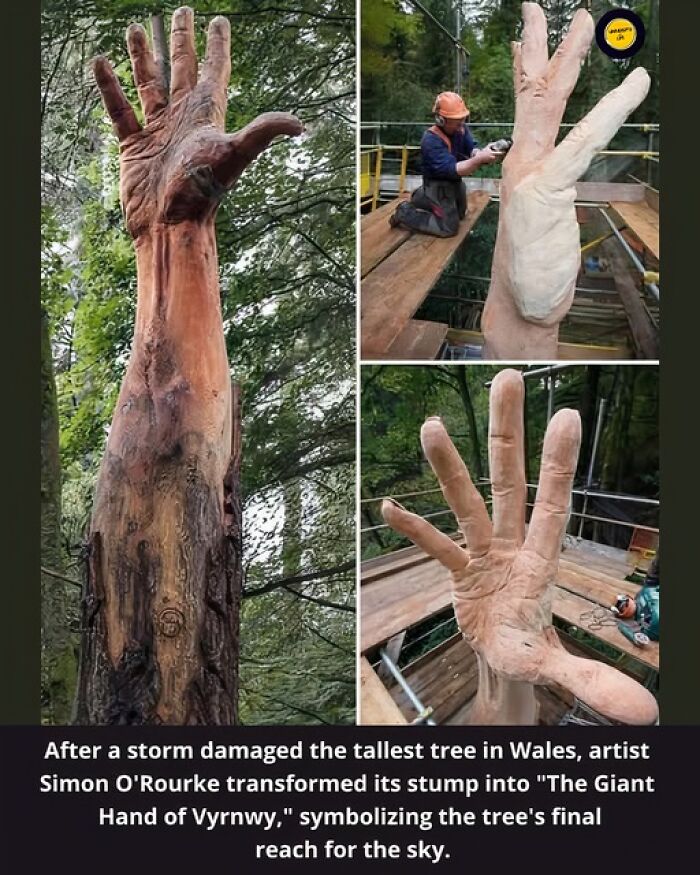 Artist Simon O'Rourke carving the giant hand sculpture from a tree stump, an unusual and wonderful art installation.