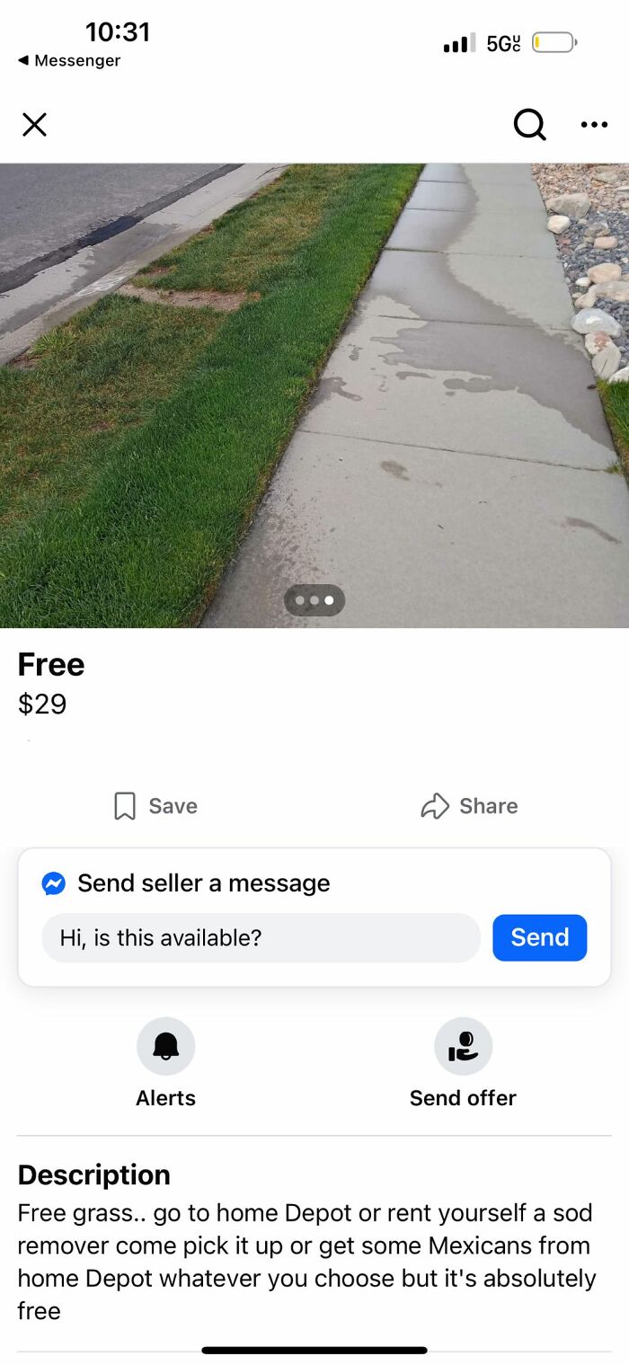 Patch of green grass for sale on Facebook Marketplace listed as free in wildest things found for sale collection.