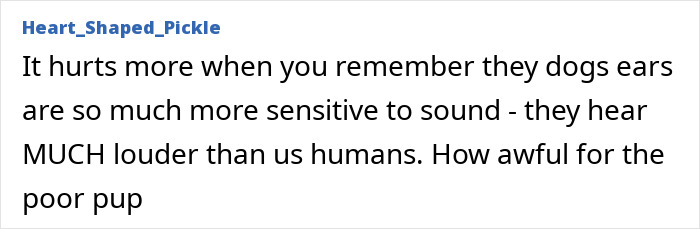 Sydney Sweeney on Met Gala red carpet holding a puppy, amid criticism for parading the animal during the event Sydney Sweeney on Met Gala red carpet holding a puppy, amid criticism for parading the animal during the event