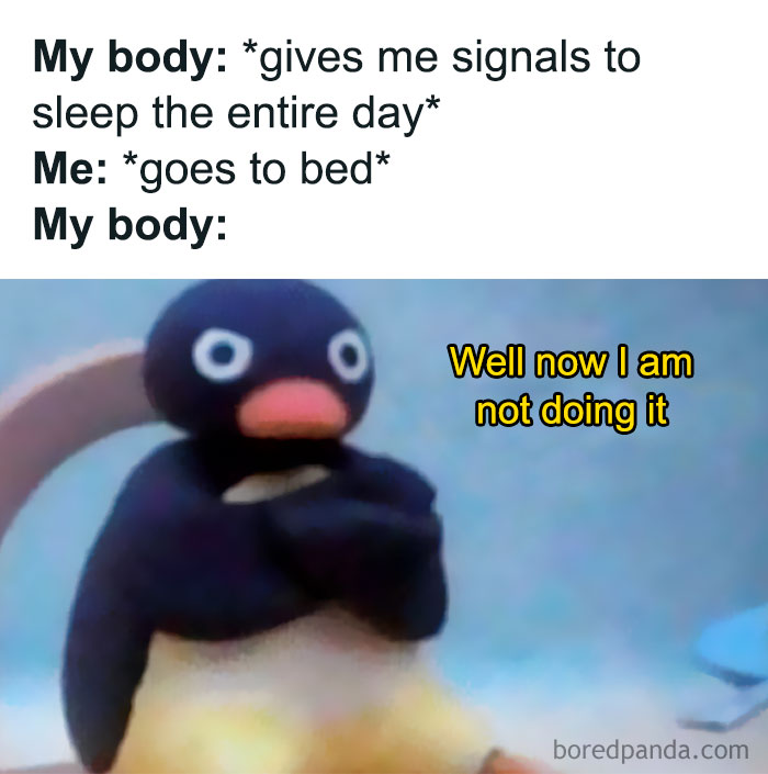 Penguin meme showing frustration about sleep, featured in a collection of ridiculously good memes to improve your day.