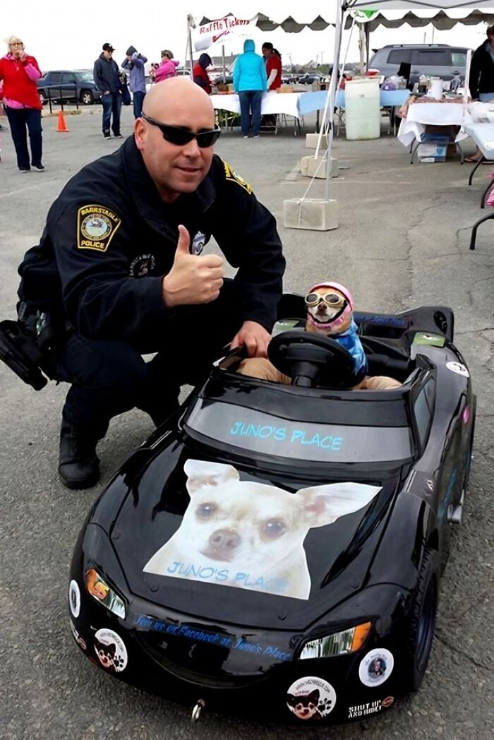 Police officer giving thumbs up next to a dog wearing goggles in a toy car in cheerful animal pics.