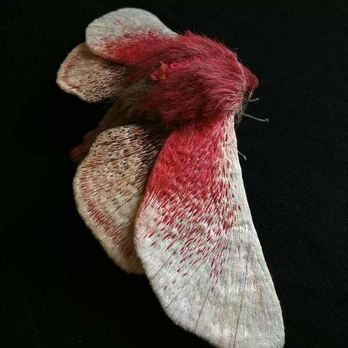 Close-up of a detailed embroidered fiber moth in red and beige tones on a black background.