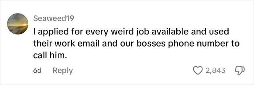 Comment about applying for jobs and using work email to deal with toxic coworkers, highlighting creative ways people handle toxic coworkers.