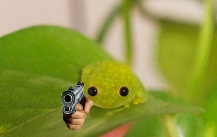 Small green animal on leaf with human hand holding a gun, illustrating hilarious animals in goblin mode humor.