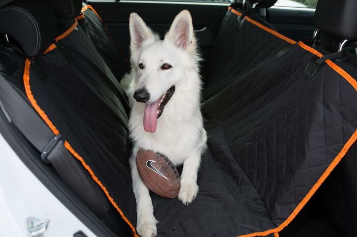 White dog sitting on a car seat cover with a ball, ensuring a pet is living their best summer life comfortably.