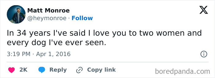 Tweet text about loving dogs, displayed on a social platform, relating to funny dog memes and pupper affection.