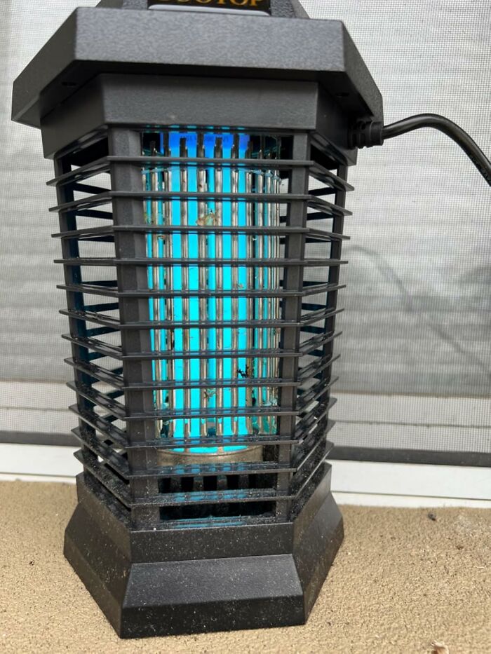 Electric bug zapper with blue light on a patio, one of the best Amazon Memorial Day bargains for pest control.