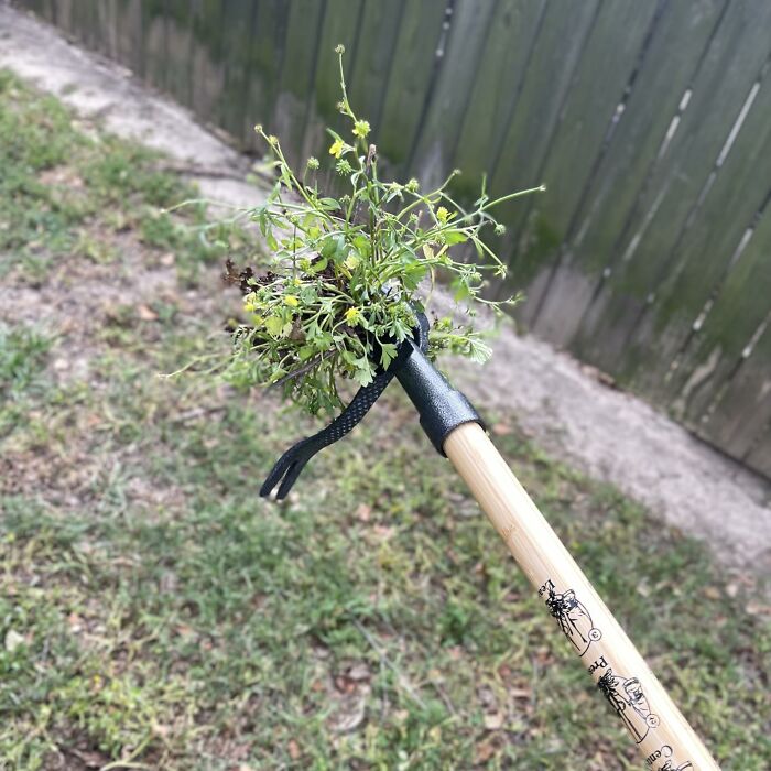 Garden tool with wooden handle extracting tiny weeds and plants to silence garden's tiny tantrums effectively.