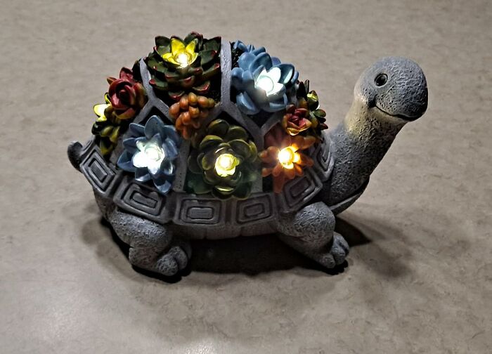 Decorative turtle figurine with light-up succulent plants, a unique and popular Amazon find on wishlists right now.