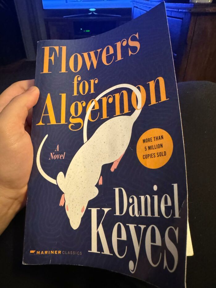 40 Times People Read A Book And Were In Awe