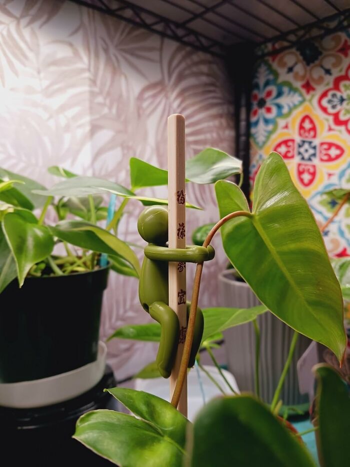 Green decorative figure climbing a stick among lush houseplants, showcasing unique Amazon hidden gems in indoor gardening.