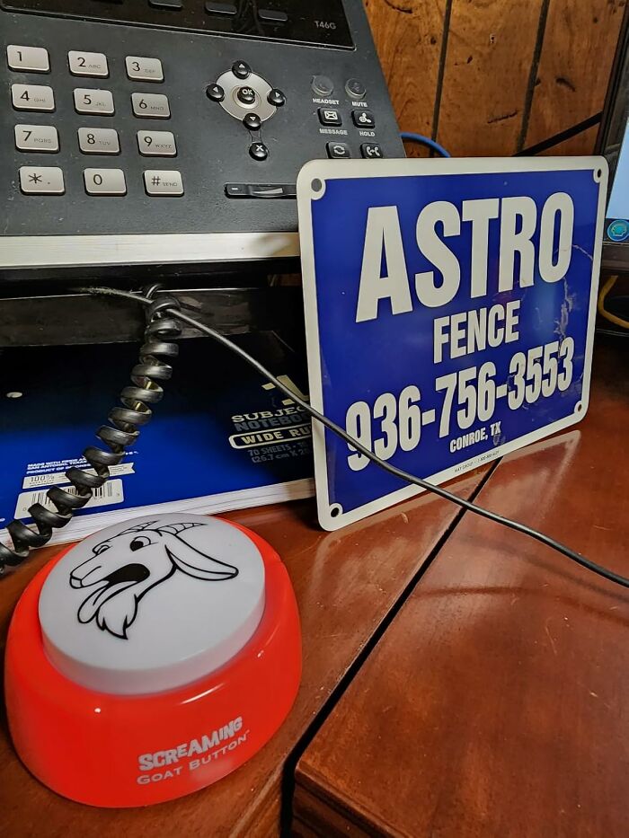 Screaming goat button on desk near phone and fence sign, a ridiculous purchase that just kind of makes sense.
