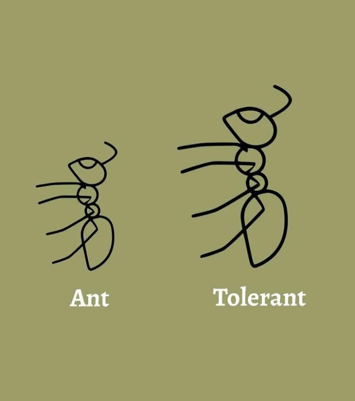 Simple black line drawing of two ants on a green background, one labeled ant and the other labeled tolerant, funny meme style.