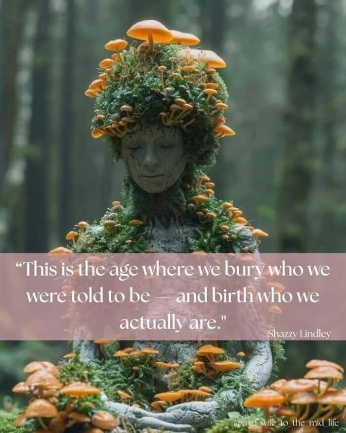 A serene statue covered in moss and orange mushrooms, representing cute and wholesome posts from a dedicated group.