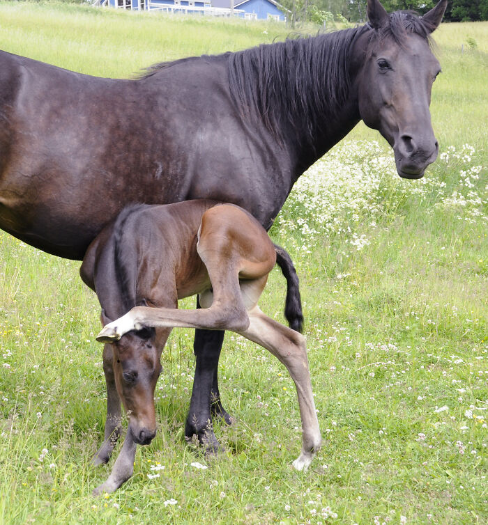 50 Times People Missed The Most Basic Facts: “Blew My Mind”