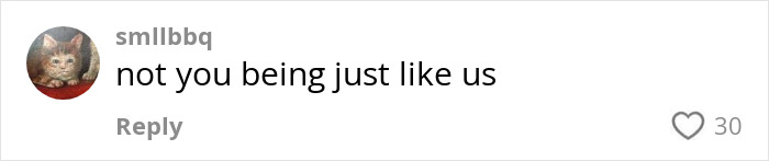 Comment on social media post saying not you being just like us with 30 likes, related to Miley Cyrus sister Noah's revealing look criticism.