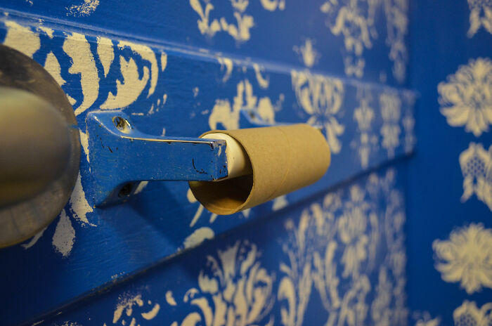 Empty toilet paper roll on a blue holder against a patterned wall, illustrating excessive laziness at home.