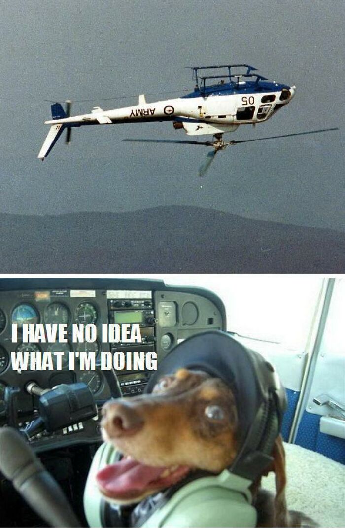 Helicopter flying sideways above mountains and funny dog wearing pilot headset with sarcasm meme caption.
