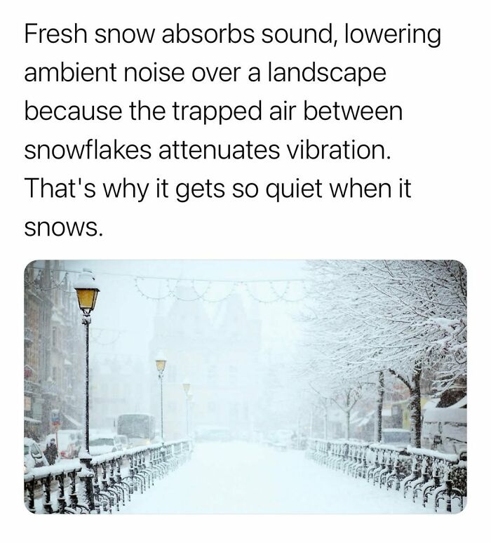 Quiet snowy urban street covered in fresh snow absorbing sound and lowering ambient noise in a peaceful landscape.