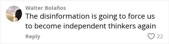 Comment about disinformation and independent thinking, reflecting reactions to Google&rsquo;s AI model creating realistic videos.