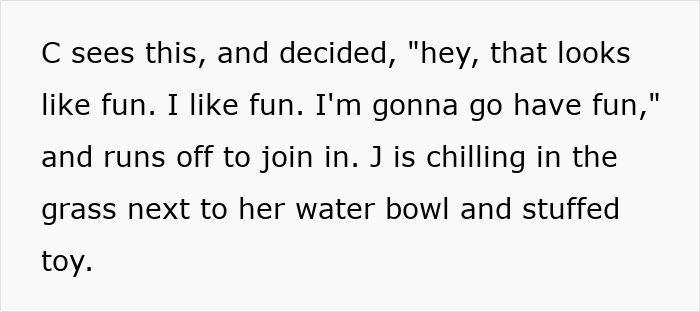 Dog almost gets stolen by kids at park while owner tries to stop them and parents respond controversially.