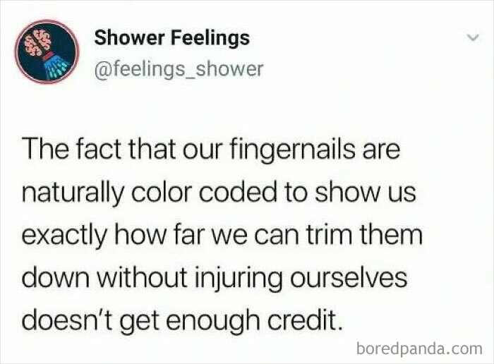 Text post from Shower Feelings about how fingernails are color coded to show safe trimming length, a showering thought.