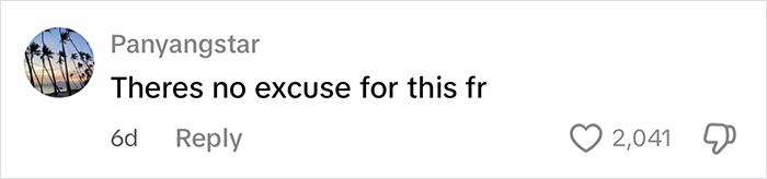 User comment saying Theres no excuse for this fr with 2,041 likes, related to woman cleaning out filthy car.