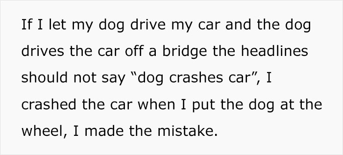 Text about dog driving car accident used to illustrate misleading headlines in 2025 summer reading list runs.