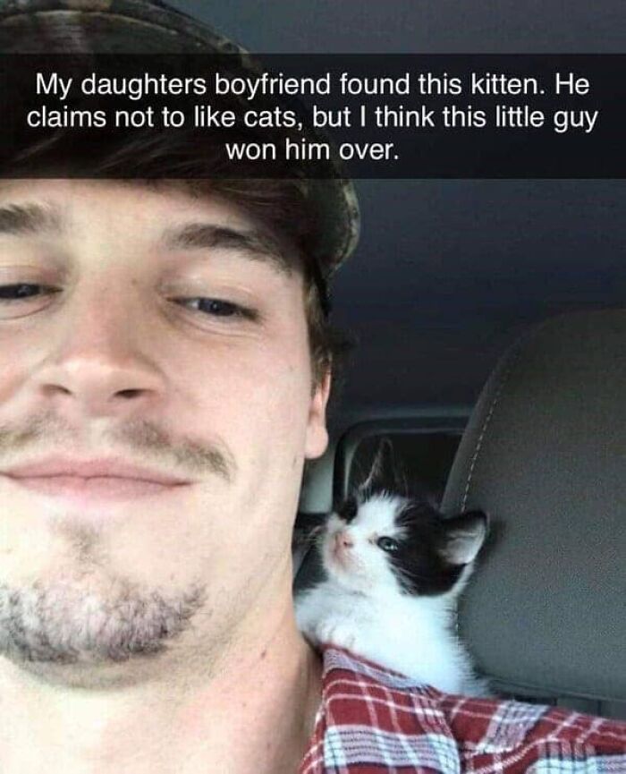 Young man smiling with a small black and white kitten on his shoulder, showcasing funny and silly animal memes.