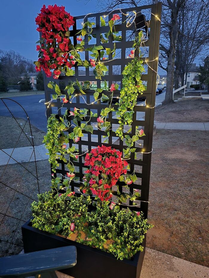Black garden trellis with red and green artificial plants and string lights, a top Amazon finds outdoor decoration.