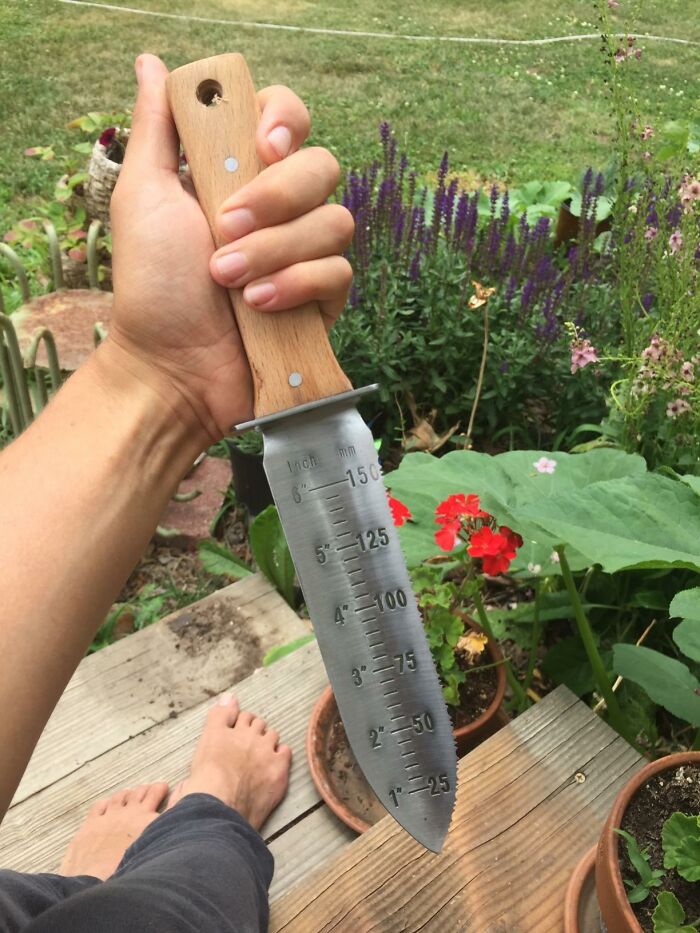 Hand holding a garden tool with measurement markings, surrounded by plants and flowers in a backyard garden setting.