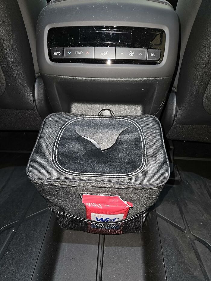 Car organizer with tissue dispenser and pocket for wet wipes placed behind front seats, popular affordable Amazon finds.