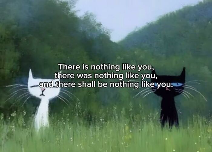 Two cats, one black and one white, sit in a grassy field with a cute and wholesome quote about uniqueness.