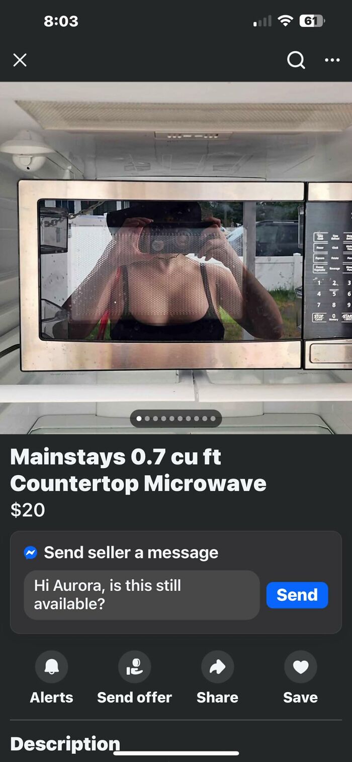 Reflective Mainstays countertop microwave listed for sale on Facebook Marketplace among wildest things found.
