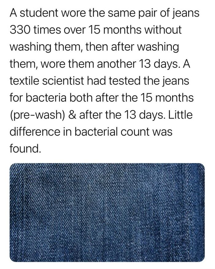 A student wore the same pair of jeans 330 times over 15 months, testing bacteria levels before and after washing.