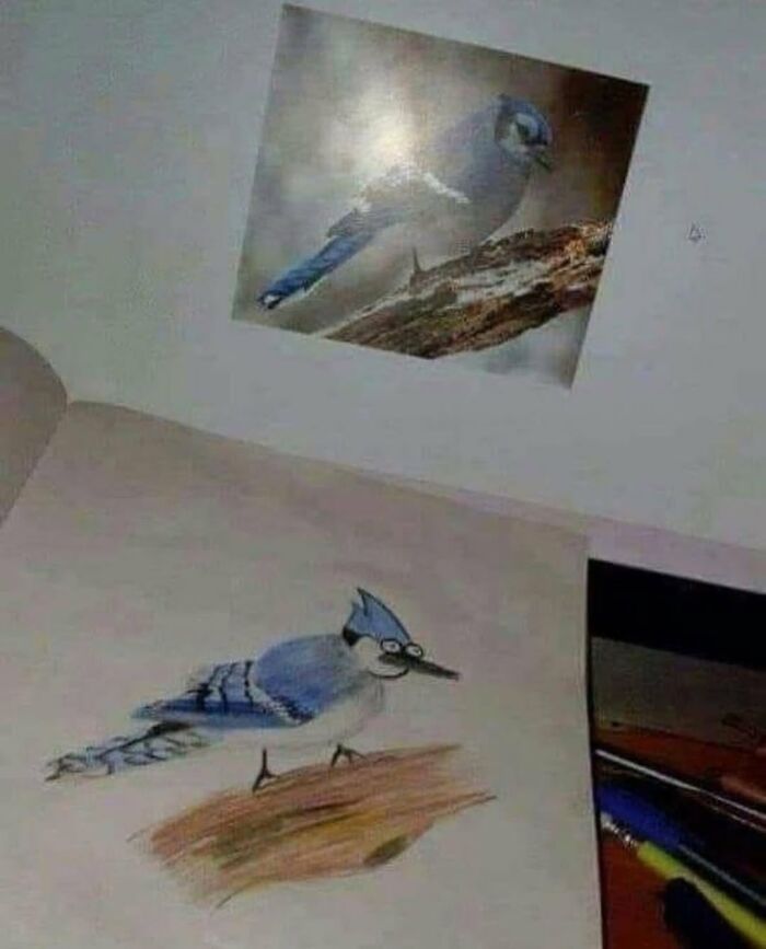 A photo showing a realistic blue jay bird image on the ceiling and a chaotic meme drawing of the same bird with glasses on the wall.