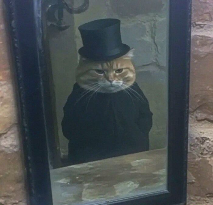 Grumpy cat dressed in black with a top hat staring into a mirror, showing hilarious animal goblin mode behavior.