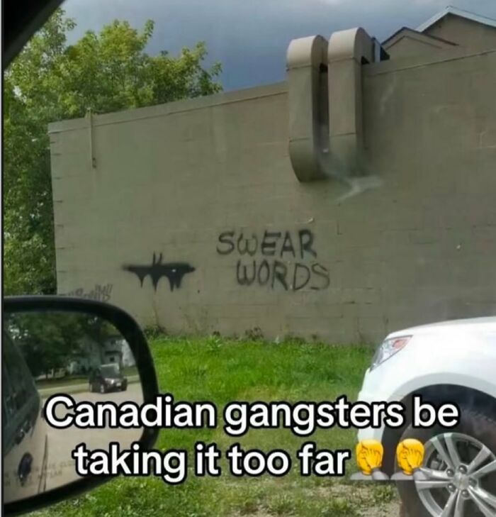 Graffiti on a wall saying swear words with a caption about Canadian gangsters, a chaotic meme for when life gets boring.