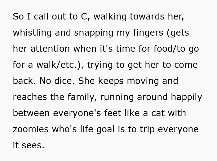 Dog at park almost gets stolen by kids while owner tries to stop them, parents say they deserve it.