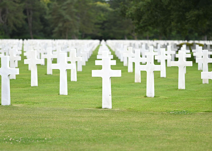 Rows of white crosses in a cemetery with green grass, a peaceful scene for entertaining facts about history.