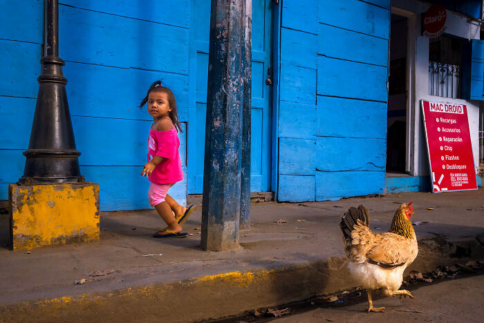 Young girl in pink walking near a blue wall with a chicken on the street in a vibrant street photography moment