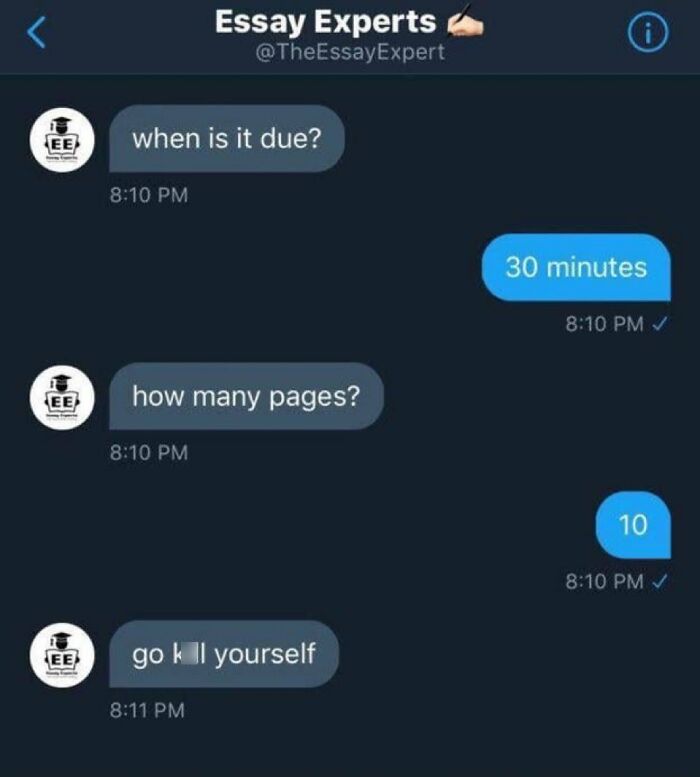 Screenshot of a chaotic meme conversation about essay deadlines humorously turning aggressive in chaotic memes.