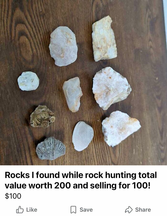 Collection of unique rocks and fossils for sale on Facebook Marketplace, a wild find among unusual items listed online.