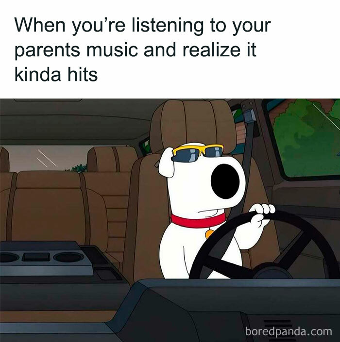 Animated dog wearing sunglasses driving a car with caption about listening to parents music nostalgic ’90s meme.