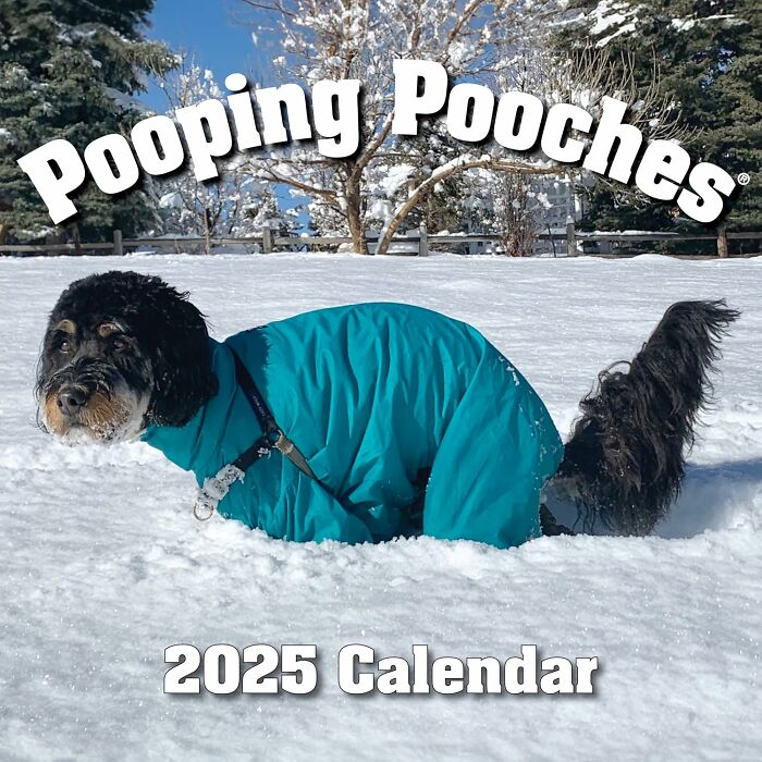 Pooping Pooches calendar cover showing a dog in a blue outfit in the snow, featuring funny office personality finds.