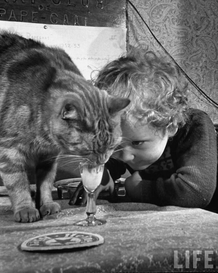 Vintage black and white photo of a child watching a cat drinking from a glass, showcasing the bond between kids and cats.