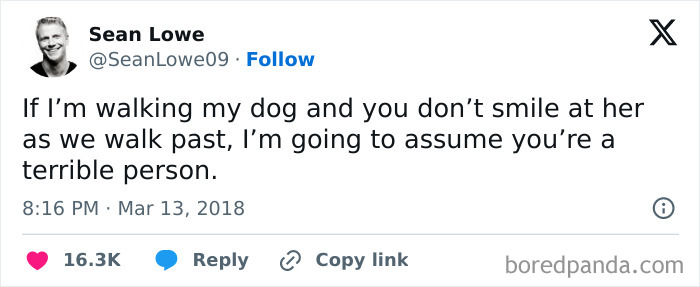 Tweet by Sean Lowe humorously expressing feelings about walking his dog, featured in dog memes about huggable puppers.