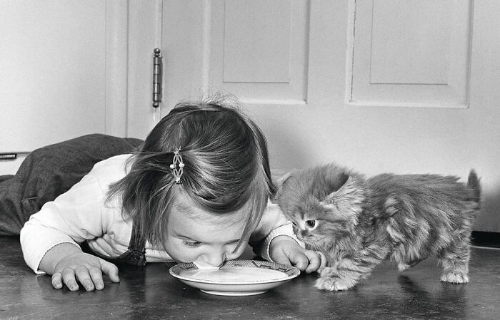 Vintage black and white photo of a child and a kitten sharing milk, capturing the timeless bond between kids and cats.