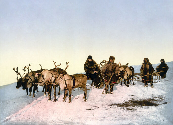 Colorized photo of a group with reindeer sleds in snowy landscape showcasing the world's vibrant cultural past.